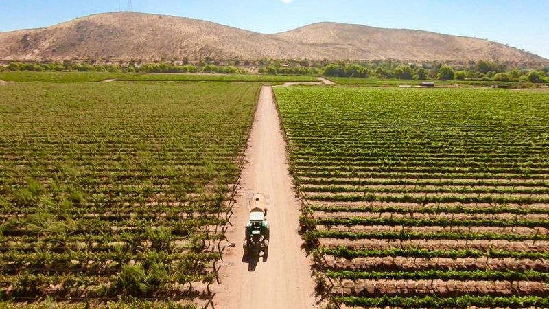Limarí produce