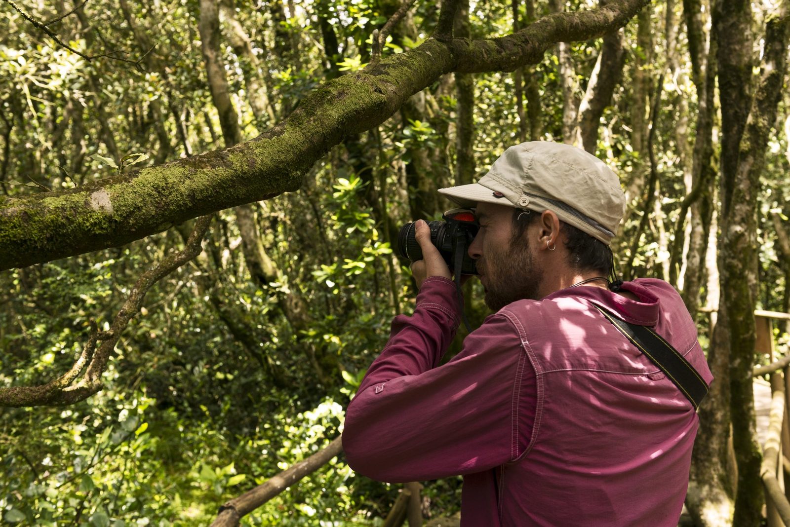 Bosque de Fray Jorge