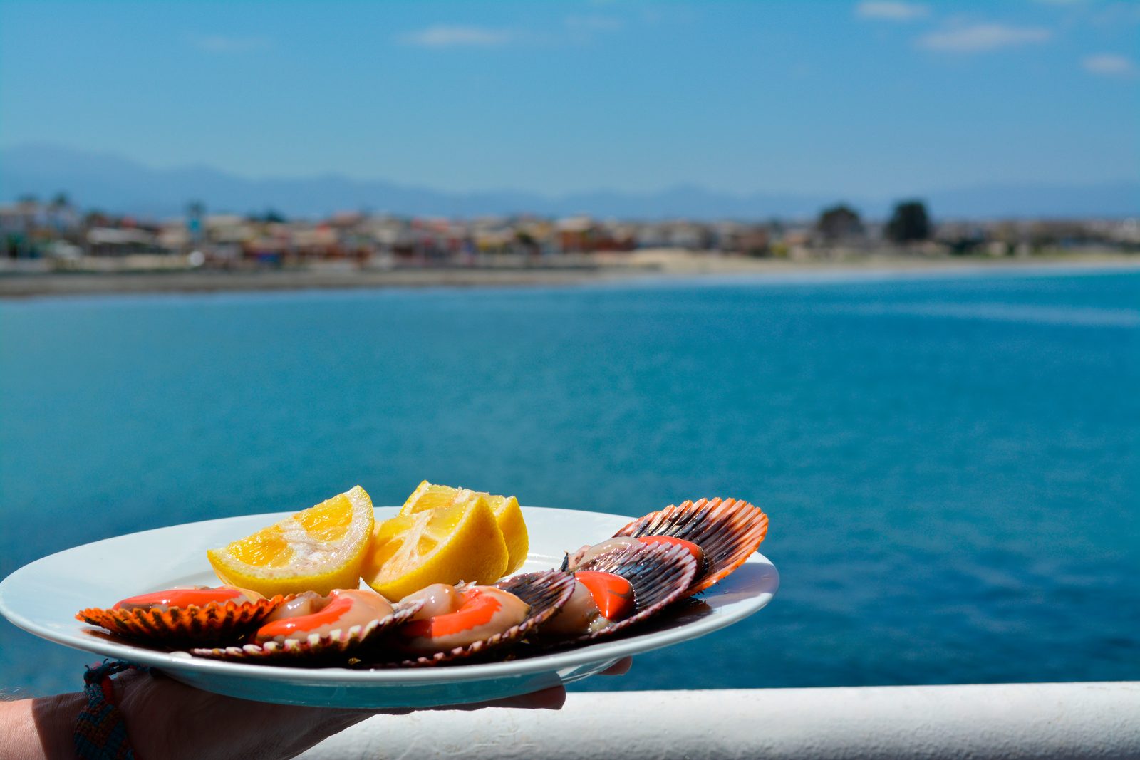 Food tourism